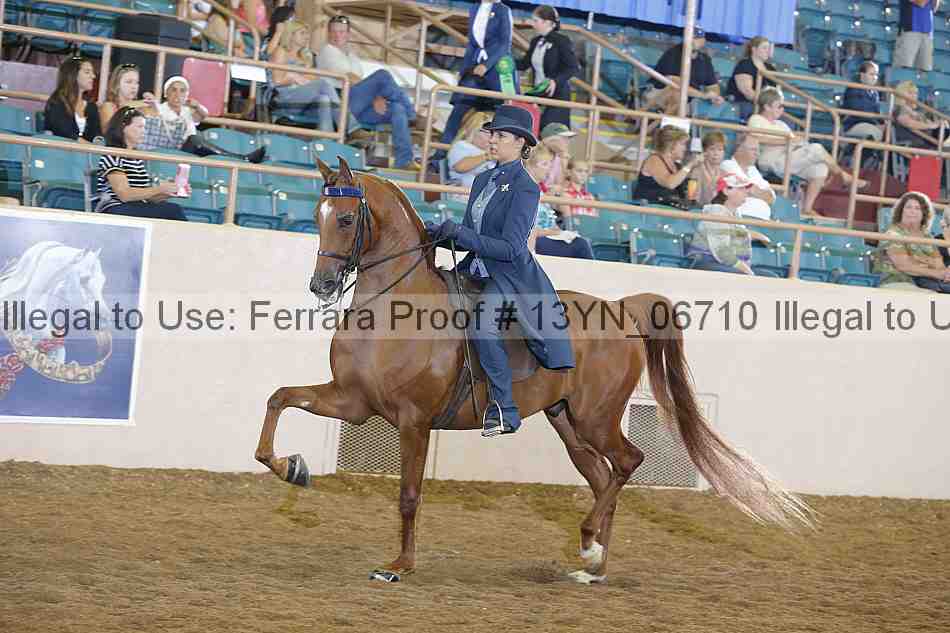 Proof 13yn_06710