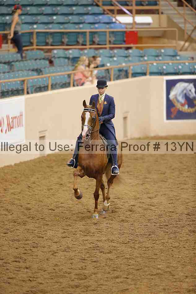 Proof 13yn_06711