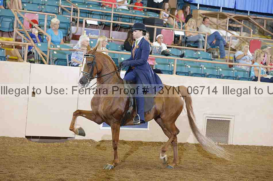 Proof 13yn_06714