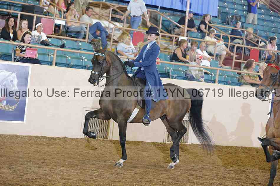 Proof 13yn_06719