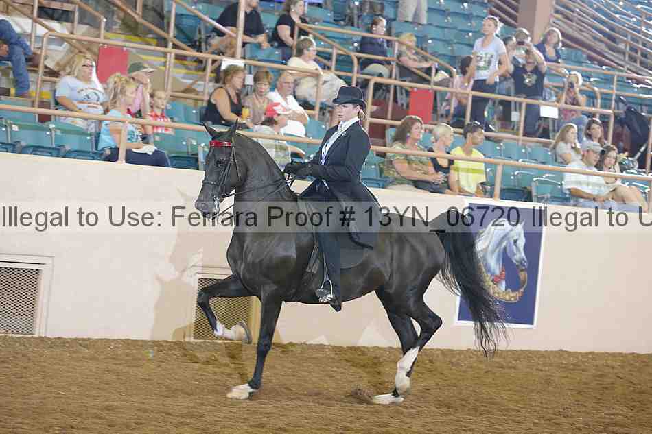 Proof 13yn_06720