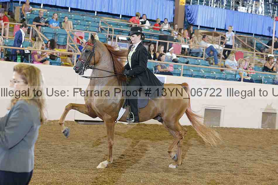 Proof 13yn_06722