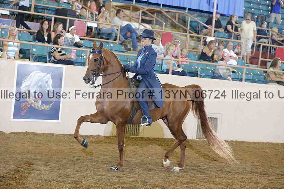 Proof 13yn_06724