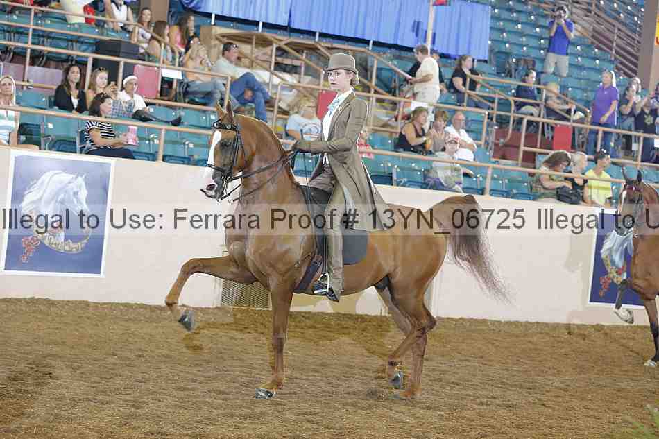 Proof 13yn_06725