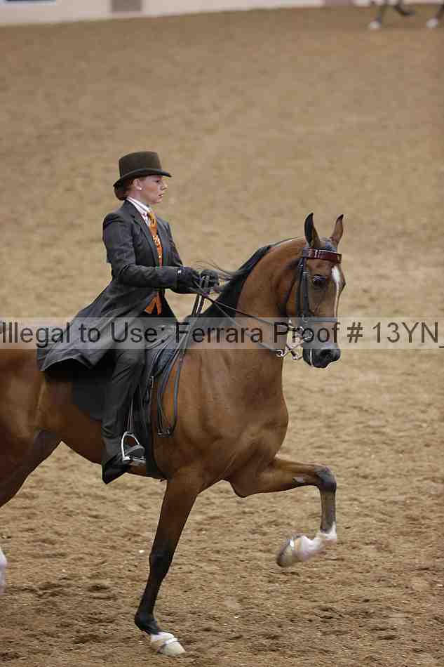 Proof 13yn_06726