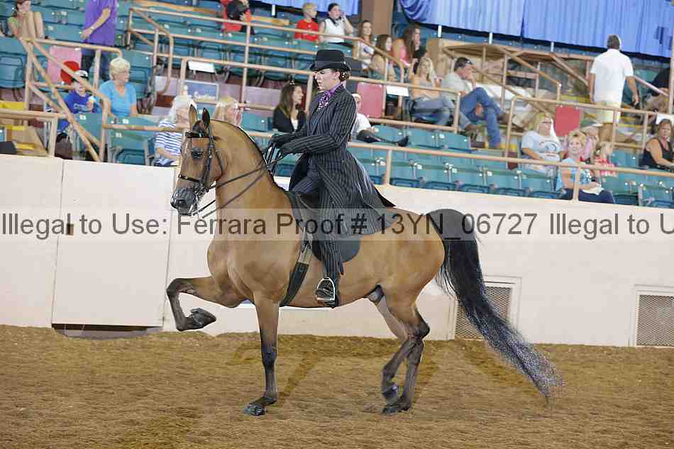 Proof 13yn_06727