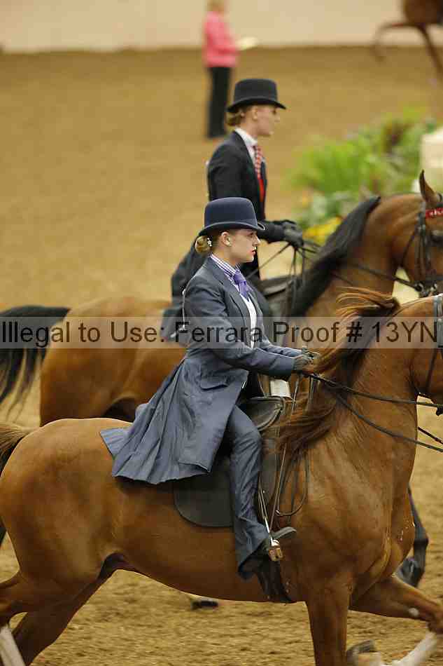 Proof 13yn_06729