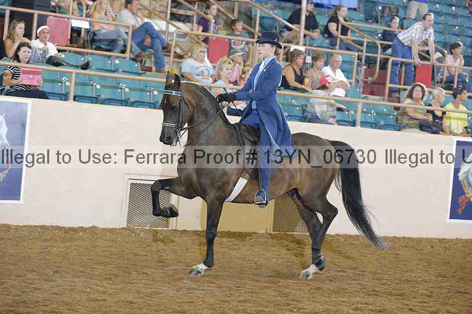 Proof 13yn_06730
