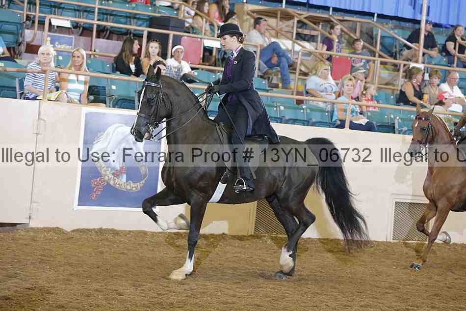 Proof 13yn_06732