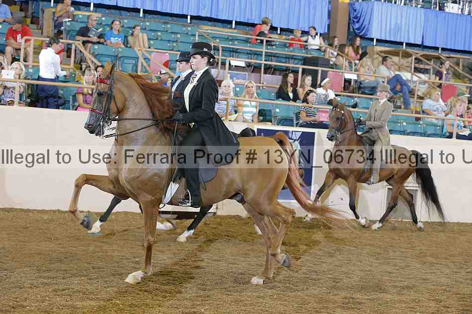 Proof 13yn_06734
