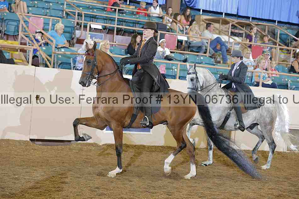 Proof 13yn_06736