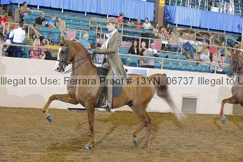 Proof 13yn_06737