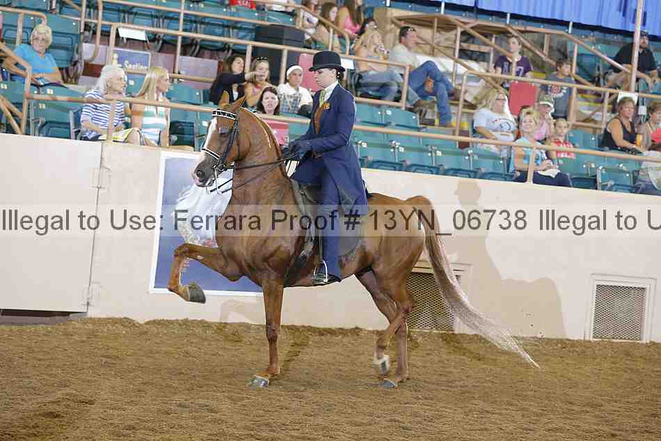 Proof 13yn_06738