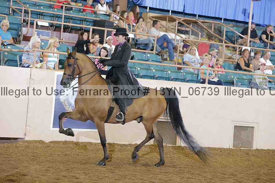 Proof 13yn_06739