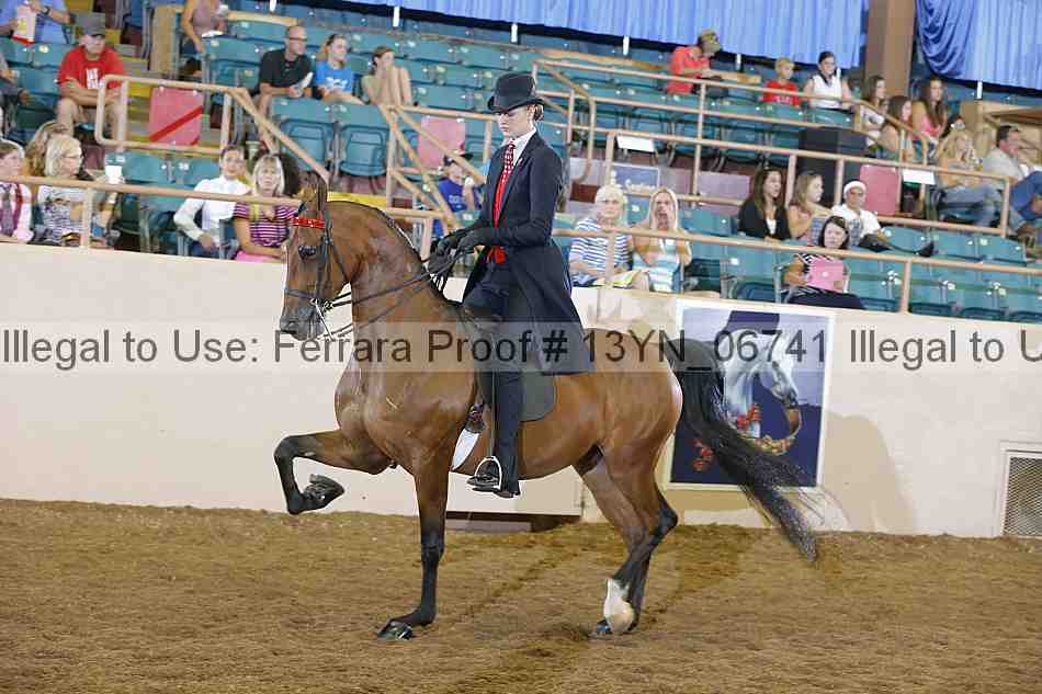 Proof 13yn_06741