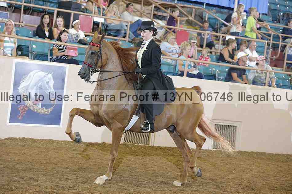 Proof 13yn_06746