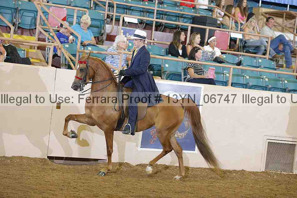 Proof 13yn_06747