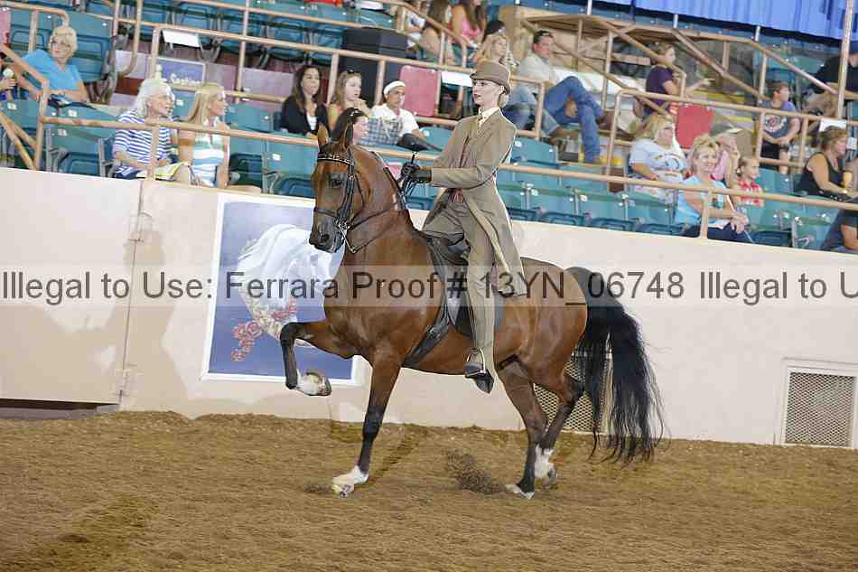 Proof 13yn_06748