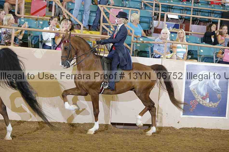Proof 13yn_06752