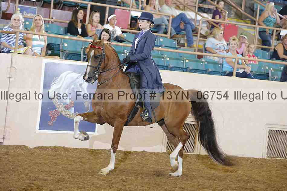 Proof 13yn_06754