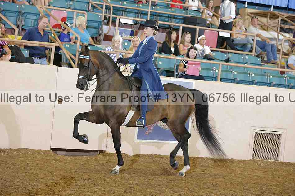 Proof 13yn_06756
