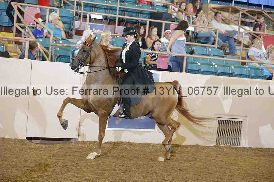 Proof 13yn_06757