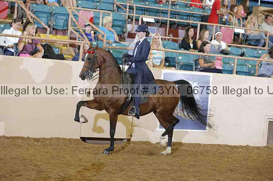 Proof 13yn_06758