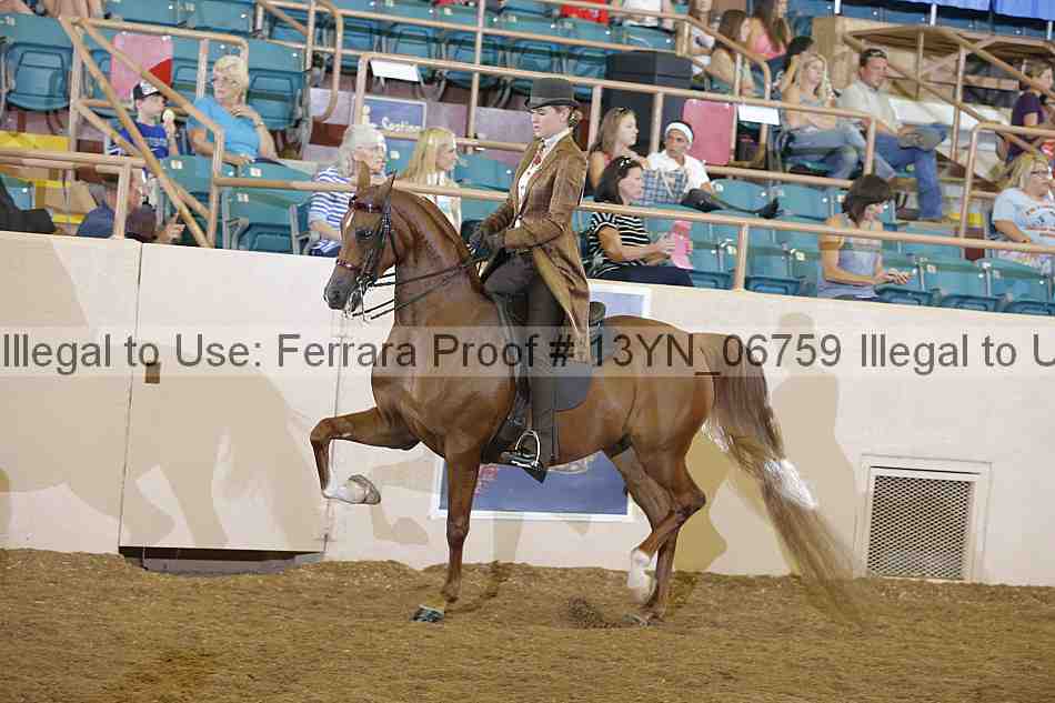 Proof 13yn_06759