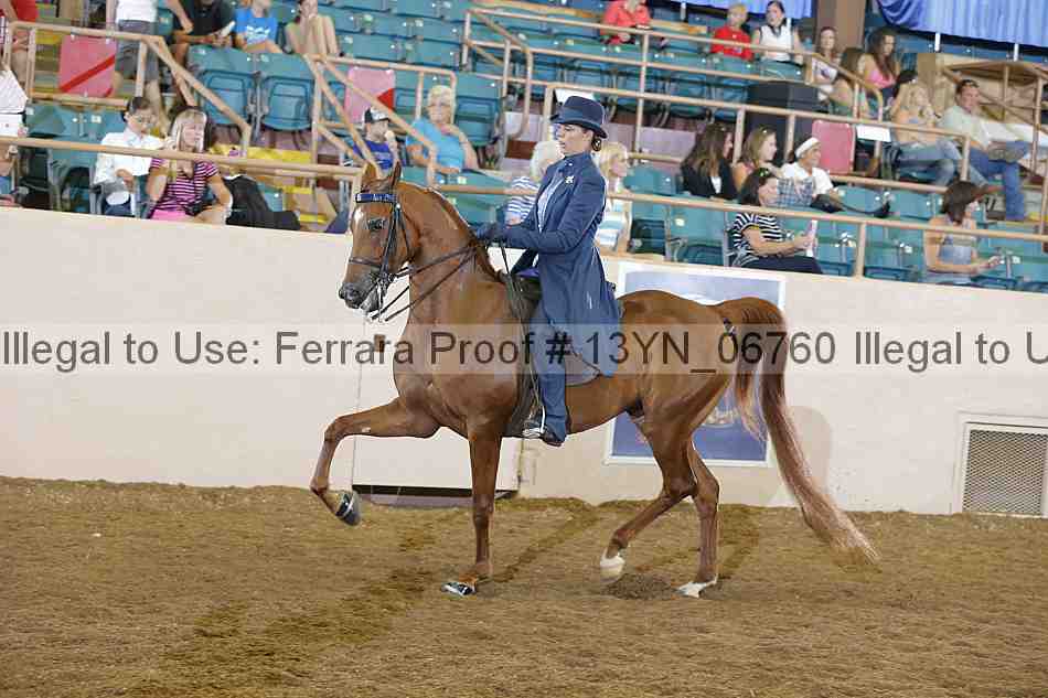 Proof 13yn_06760