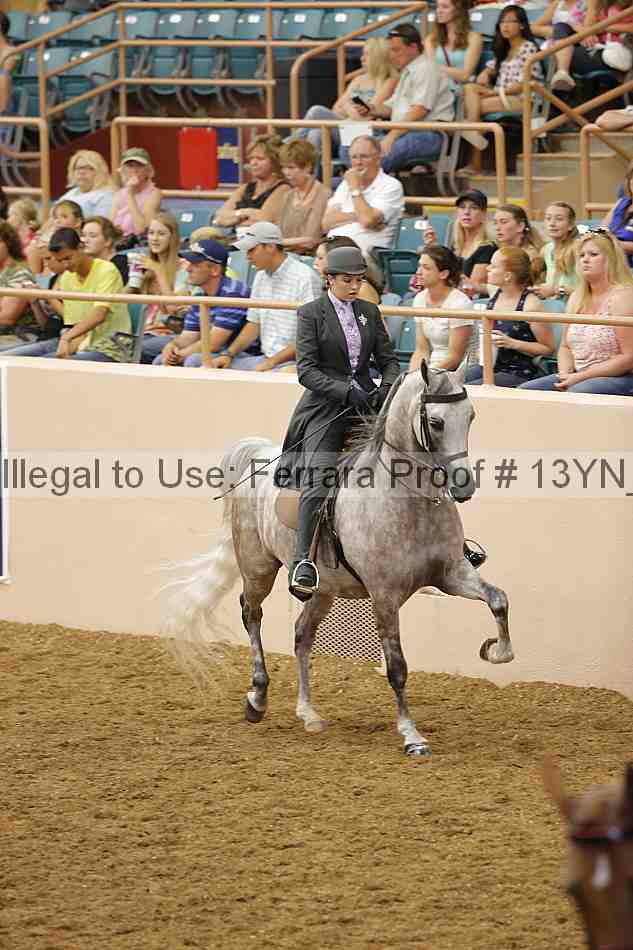 Proof 13yn_06761