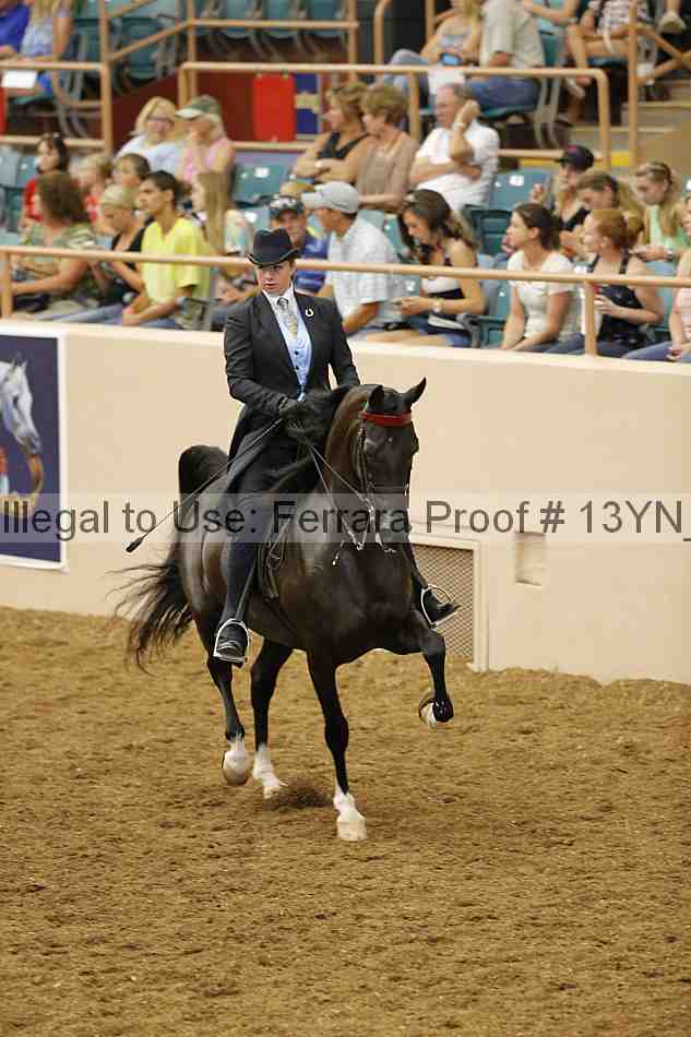 Proof 13yn_06762
