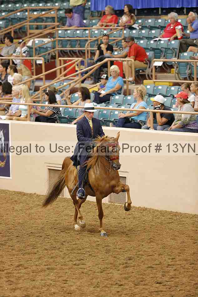 Proof 13yn_06766