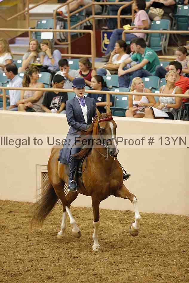 Proof 13yn_06770