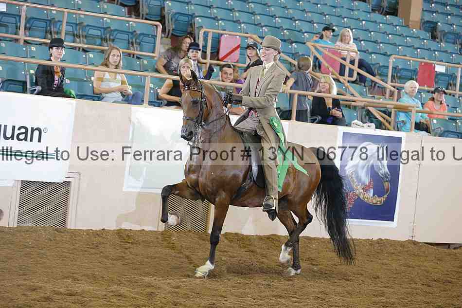 Proof 13yn_06778