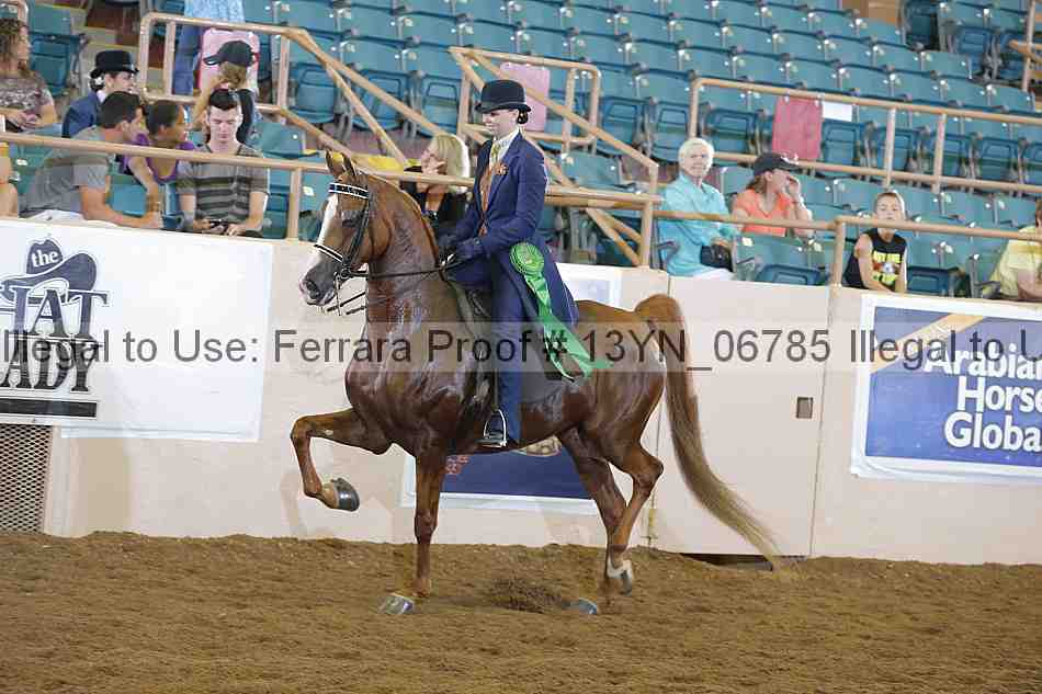 Proof 13yn_06785