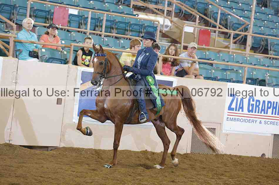 Proof 13yn_06792