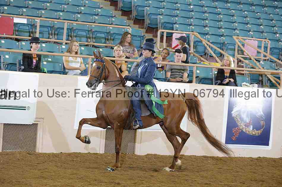 Proof 13yn_06794