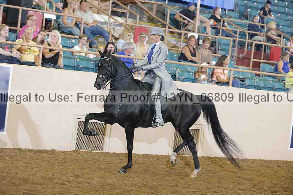 Proof 13yn_06809