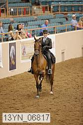 13yn_06817 proof