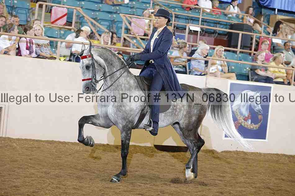 Proof 13yn_06830