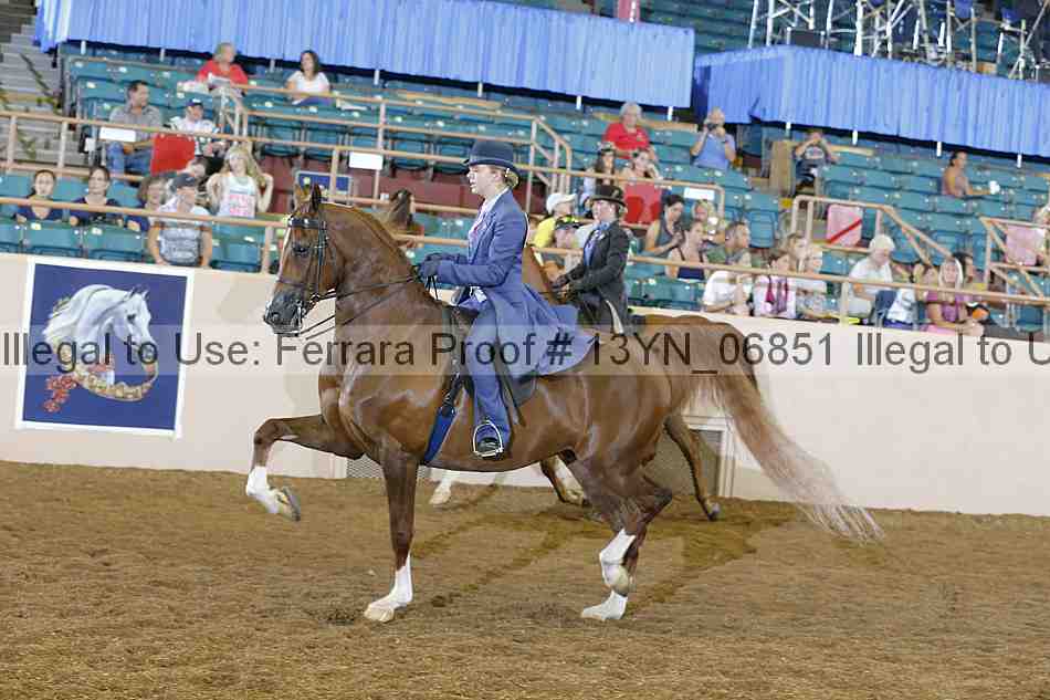 Proof 13yn_06851