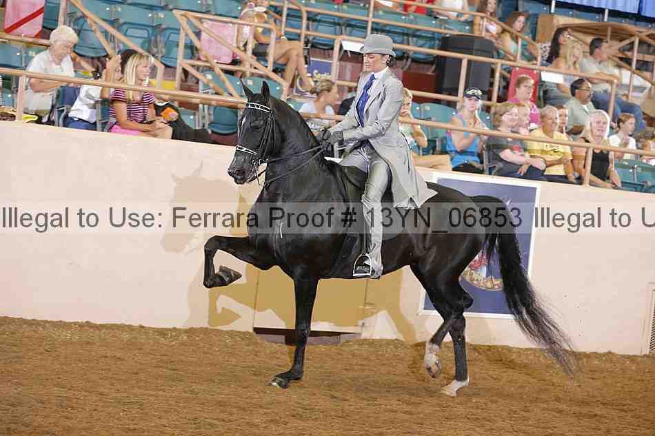 Proof 13yn_06853