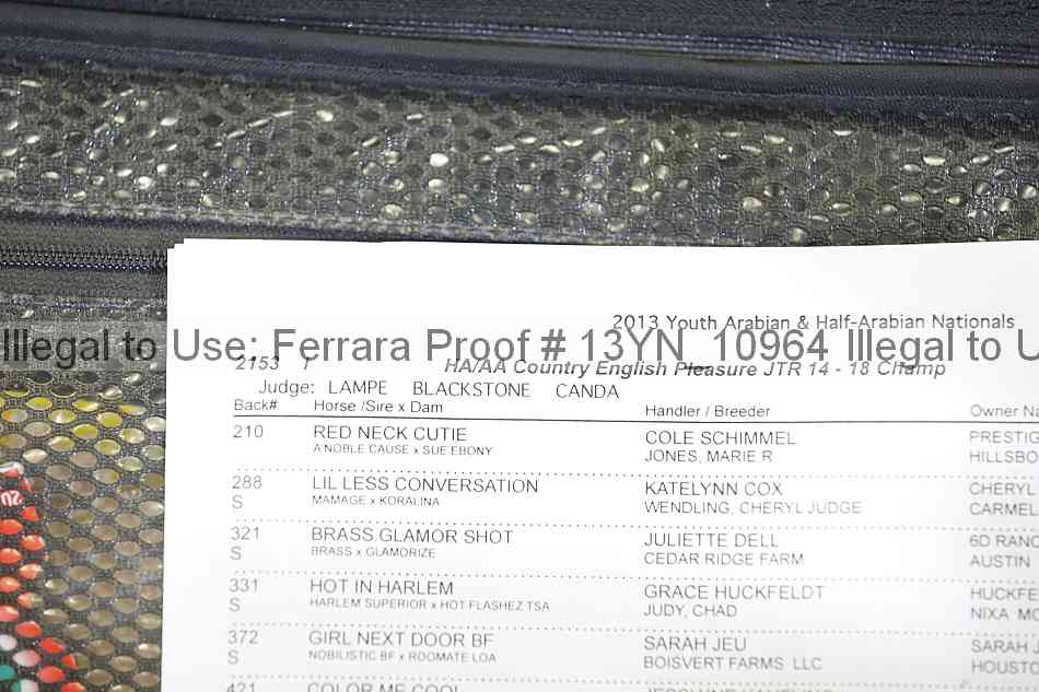 Proof 13yn_10964
