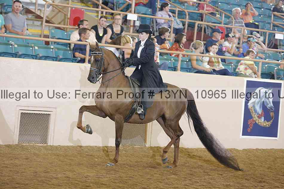 Proof 13yn_10965