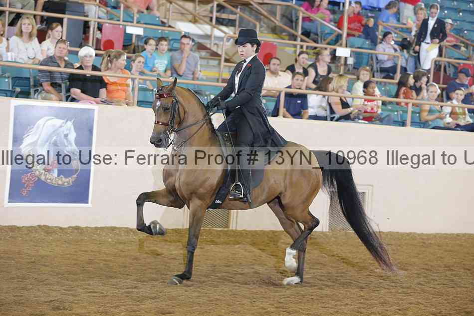 Proof 13yn_10968