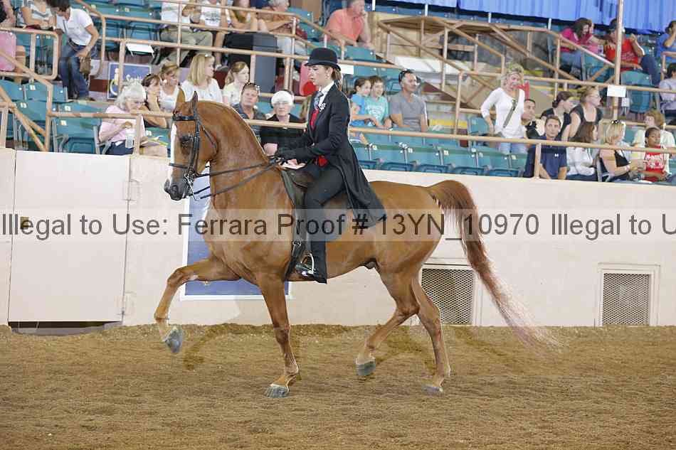 Proof 13yn_10970