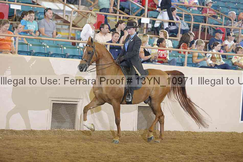 Proof 13yn_10971