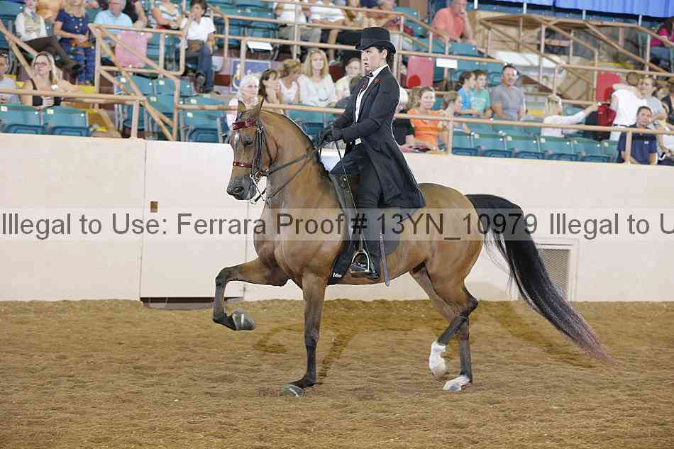 Proof 13yn_10979