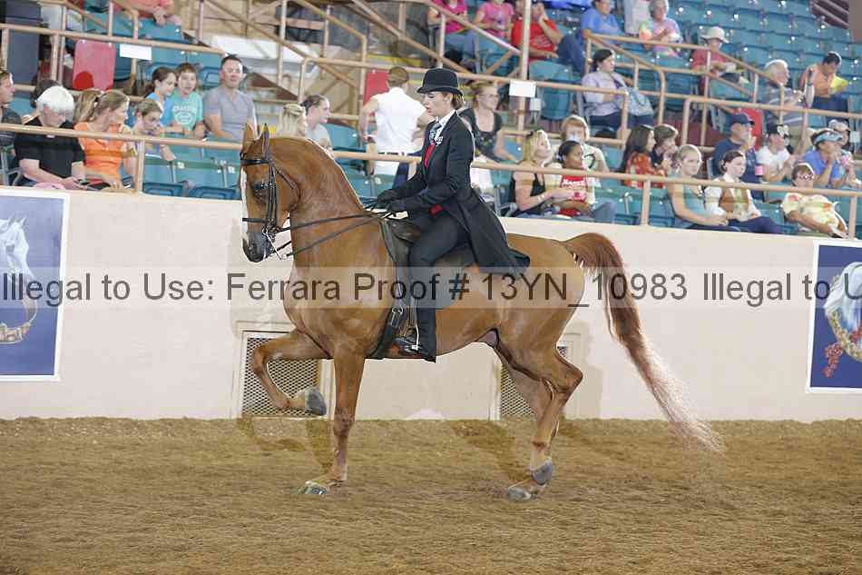 Proof 13yn_10983