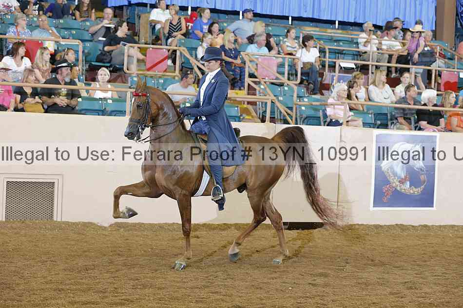 Proof 13yn_10991